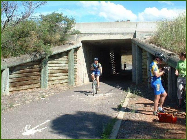 HIGH-RES_WoodenButressUnderpass