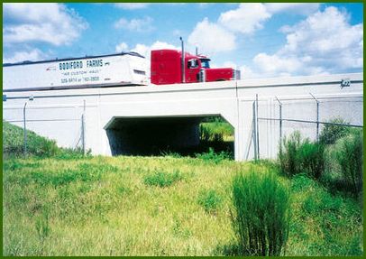 Wildlife_Underpass