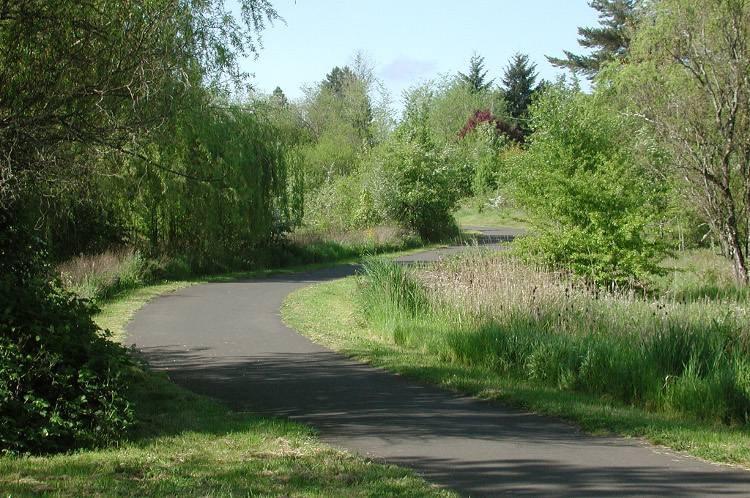 Idealic greenway trail